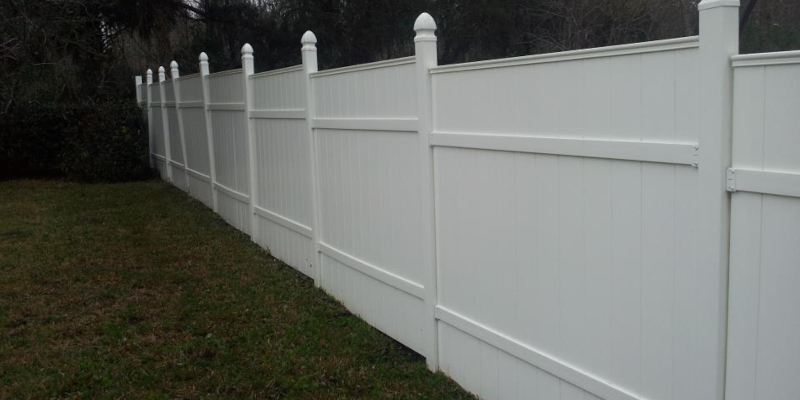 FENCE CLEANING