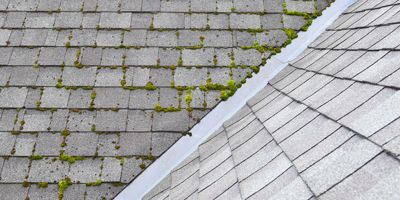 3 Myths About Roof Cleaning: Debunked